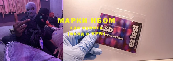 хмурый Касимов