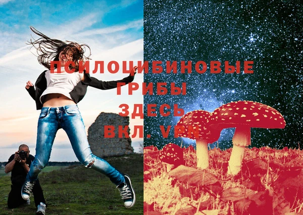 2c-b Карталы