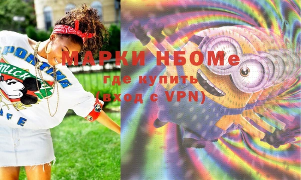 хмурый Касимов