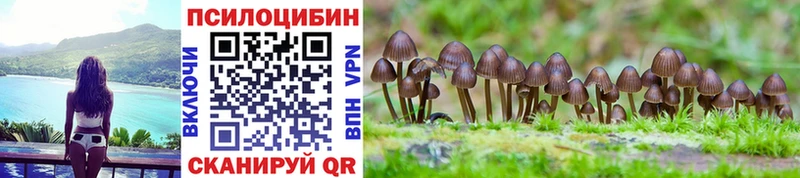 Псилоцибиновые грибы Cubensis  Купить  Волхов 
