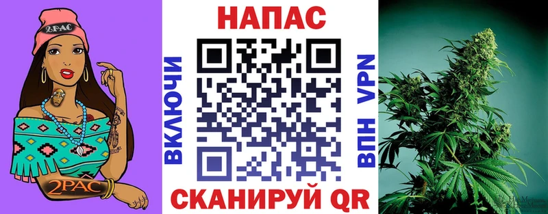 Бошки марихуана гибрид  Купить  Волхов 